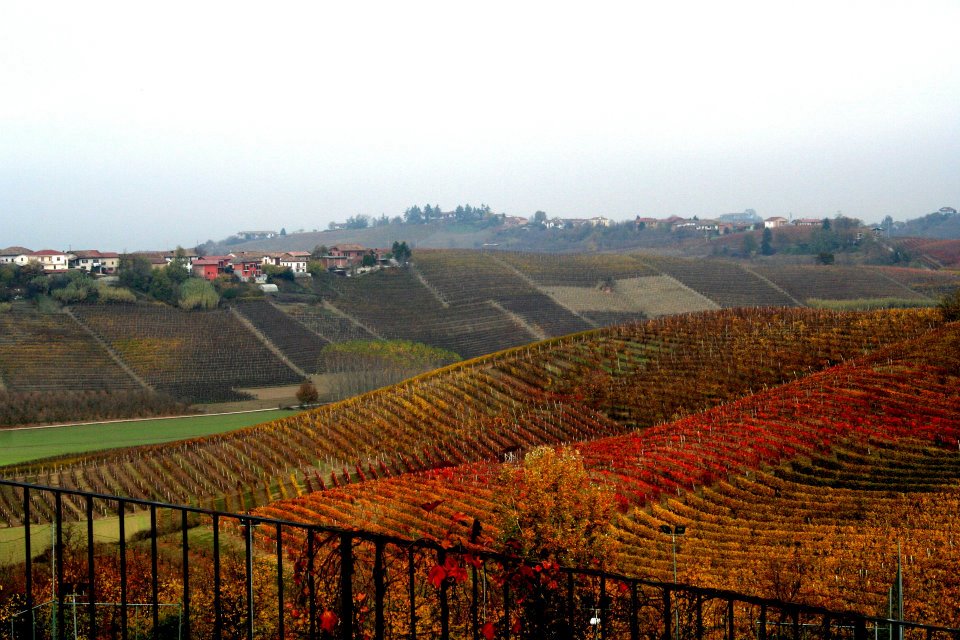 istallazione Parco Quarelli