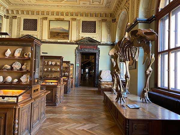 Museo di Storia Naturale di Viennascheletri