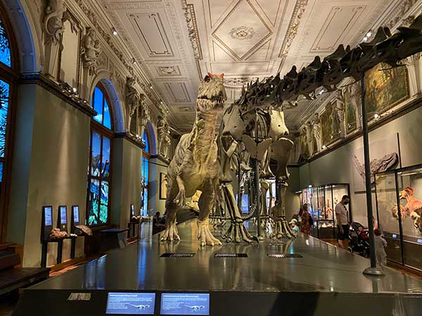 Museo di Storia Naturale di Vienna dinosauro