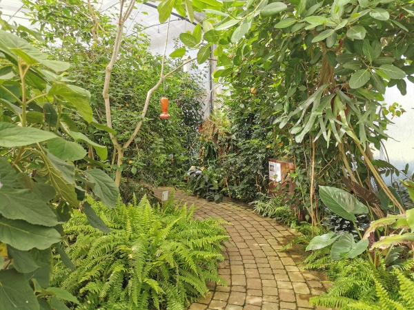 casa farfalle milano marittima