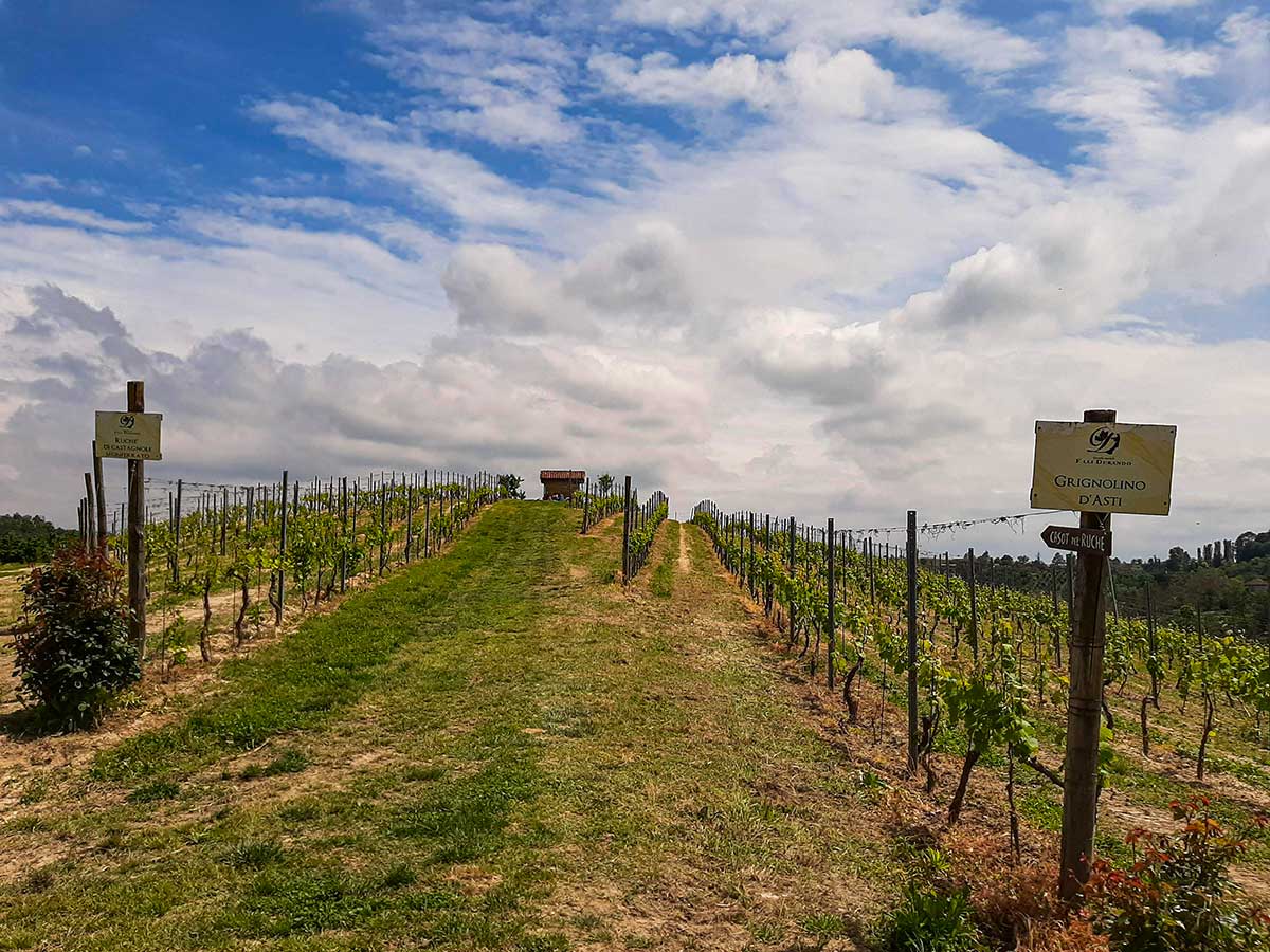 vigna asti
