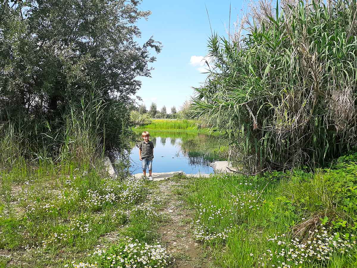 parco laghetti falchera