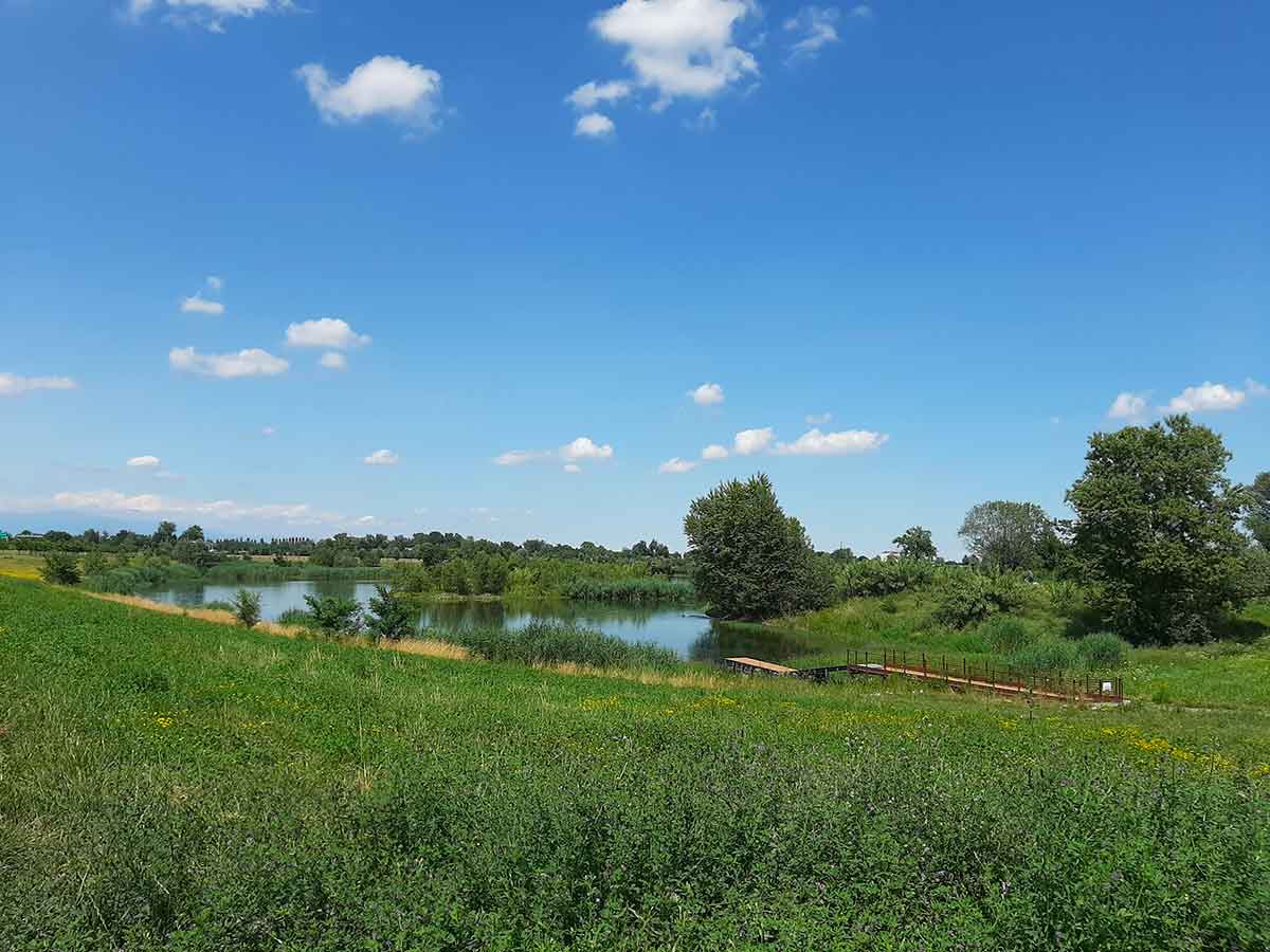 parco laghetti falchera