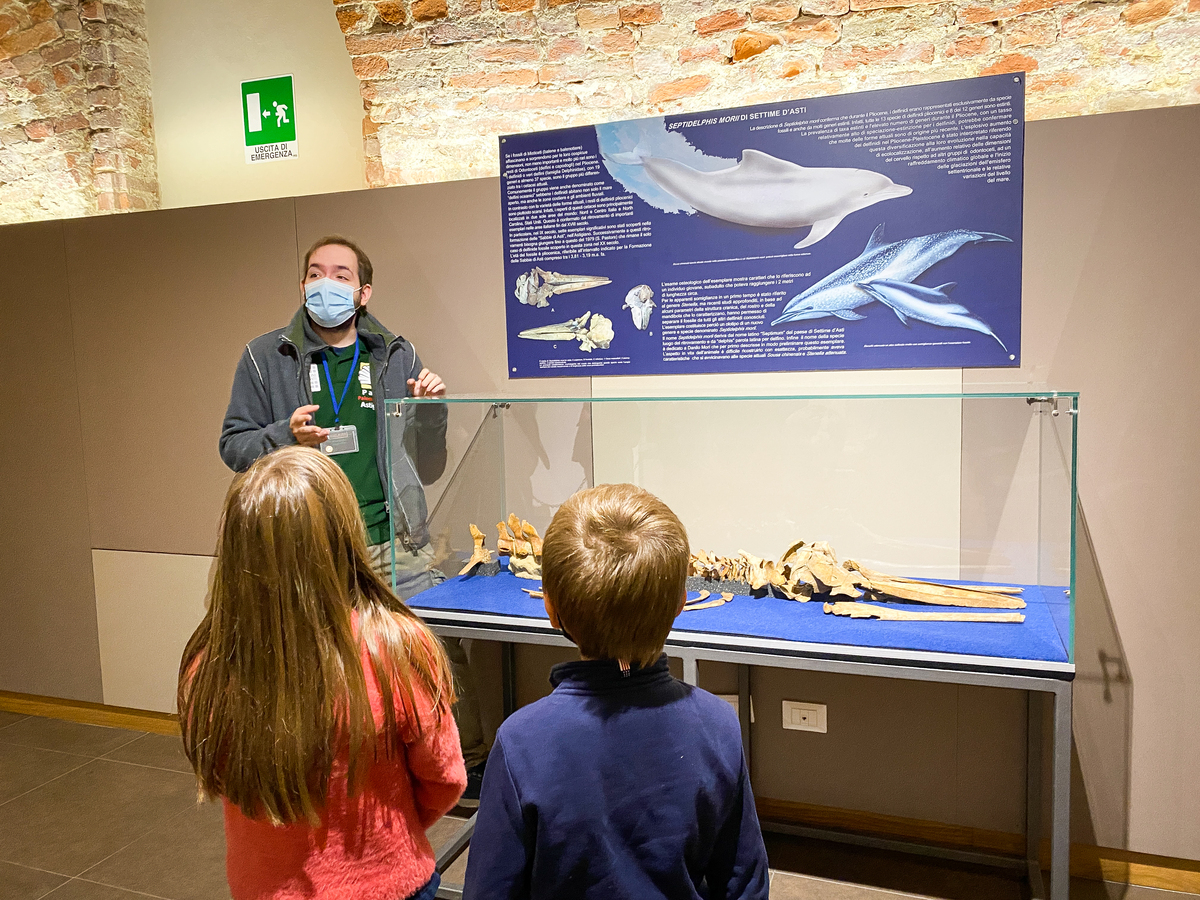 bambini ascoltano la guida al museo paleontologico