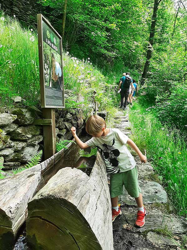 bambino passeggia pbosco e mette mani nell'acaua
