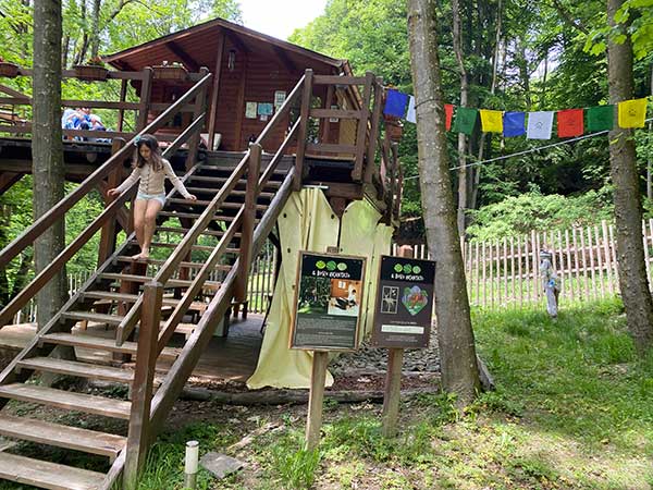 casa sull'albero