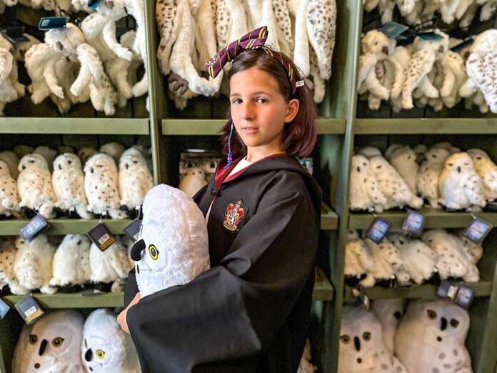 harry potter in Italia