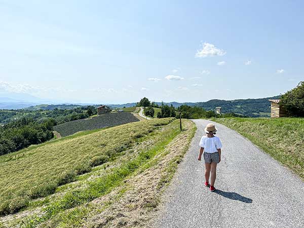 campi lavanda cuneo